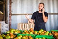 Young man speak on phone with costumers in front collect tomatoes boxes at greenhouse. Online phone sales of tomato orders of cos Royalty Free Stock Photo