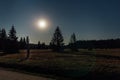 Young man stand in nice star night with trees and moon in Novohradske hory, Czech landscape