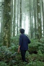 Young man standing alone from the back in the woods. Person in the forest Royalty Free Stock Photo