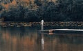 Young man standing alone on edge of footbridge and relaxing at lake. Man standing alone on the end of a jetty Royalty Free Stock Photo