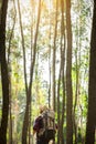 Young Man standing alone in forest outdoor with sunset nature on Royalty Free Stock Photo