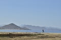 Man surfer stretching in beach coast landscape Baja, Mexico