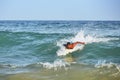 Young man surfing in sea Royalty Free Stock Photo