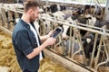 Young man with tablet pc and cows on dairy farm
