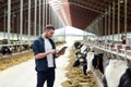 Young man with tablet pc and cows on dairy farm Royalty Free Stock Photo