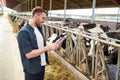 Young man with tablet pc and cows on dairy farm Royalty Free Stock Photo