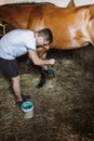 Young man taking care of his horse in stable Royalty Free Stock Photo