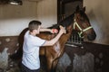 Young man taking care of his horse in stable Royalty Free Stock Photo