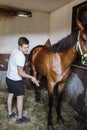 Young man taking care of his horse in stable Royalty Free Stock Photo