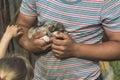 a young man with tanned arms is holding a very small puppy. the baby is petting him. daylight. close-up