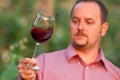 Young man is tasting red wine Royalty Free Stock Photo