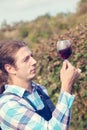Young Man Tasting Wine Royalty Free Stock Photo