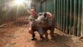 Young man touching rhinoceros baby Royalty Free Stock Photo