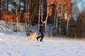 A young man training his dog golden retriever. Royalty Free Stock Photo