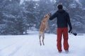 Young man training his dog golden retriever. Royalty Free Stock Photo