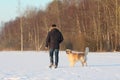 A young man training his dog golden retriever. Royalty Free Stock Photo