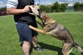 Young man trains his dog Royalty Free Stock Photo