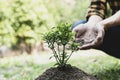 Young man transplanted small seedlings into mineral rich potting soil and prepared to water the plants, Plants help increase oxyge Royalty Free Stock Photo