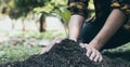 Young man transplanted small seedlings into mineral rich potting soil and prepared to water the plants, Plants help increase oxyge Royalty Free Stock Photo