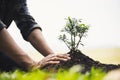 Young man transplanted small seedlings into mineral rich potting soil and prepared to water the plants, Plants help increase oxyge Royalty Free Stock Photo