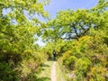 Young man treking in nature north from Lisbon, Portugal