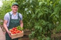 A young man in uniform works in a greenhouse.