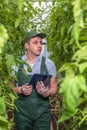 A young man in uniform works in a greenhouse.