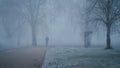 Young man walking through the city park on a foggy and cold autumn morning. Front view. Peaceful atmosphere.