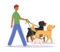 Young man walking with cute dogs. Happy pet owner with rottweiler, labrador retriever, jack russell terrier. Dog trainer