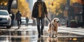 young man walking dog in the city in autumn day, AI Generated Royalty Free Stock Photo