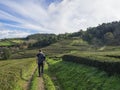 Young man walking on footpath through tea plantation rows belong to Gorreana tea factory Cha Gorreana and ocean on