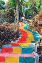 Young man is walking to up colorful stairs in jungle. Royalty Free Stock Photo