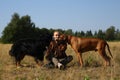 Young man walking with two dogs Bernese Mountain Dog and ridgeback on the summer field