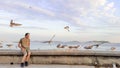 Young Man Watching the Seagulls Royalty Free Stock Photo