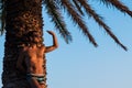 Young man watching sunset on the beach Royalty Free Stock Photo