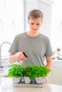 Young Man watering home gardening on the kitchen. Pots of herbs with basil, parsley and thyme. Home planting and food growing.