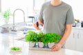 Young Man watering home gardening on the kitchen. Pots of herbs with basil, parsley and thyme. Home planting and food growing.