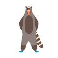 Young man wearing funny animal kigurumi for home pajama party. Male character standing in cute racoon costume isolated