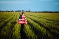 Young man wearing green shirt and cap stands wrapped in the american flag at the green wheat field. Patriotic boy celebrates usa Royalty Free Stock Photo