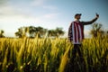 Young man wearing green shirt and cap taking selfie photo with the american flag at the green wheat field. Patriotic boy Royalty Free Stock Photo