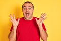 Young man wearing red casual t-shirt standing over isolated yellow background very happy and excited, winner expression Royalty Free Stock Photo