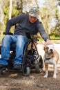 Young man in a wheelchair with his faithful dog . Royalty Free Stock Photo