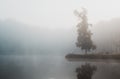 Young man in white hoodie standing on grass headland with lonely tree at morning misty fog. Tranquil Czech landscape