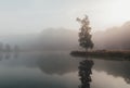 Young man in white hoodie standing on grass headland with lonely tree at morning misty fog. Tranquil Czech landscape