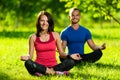 Young man and woman doing yoga in the sunny summer park