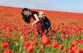 Young man and woman having date in the field of poppies Royalty Free Stock Photo