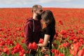 Young man and woman having date in the field of poppies Royalty Free Stock Photo