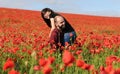 Young man and woman having date in the field of poppies Royalty Free Stock Photo