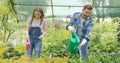 Young man and woman taking care of plants and watering with pot Royalty Free Stock Photo