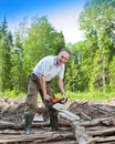 The young man in the wood saws a tree a chain petrolsaw Royalty Free Stock Photo